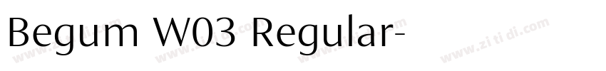 Begum W03 Regular字体转换